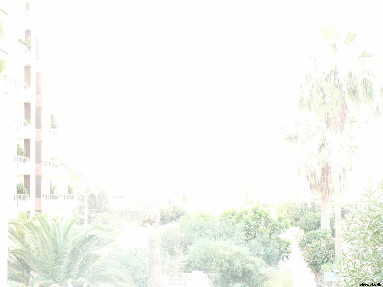 * Image 3