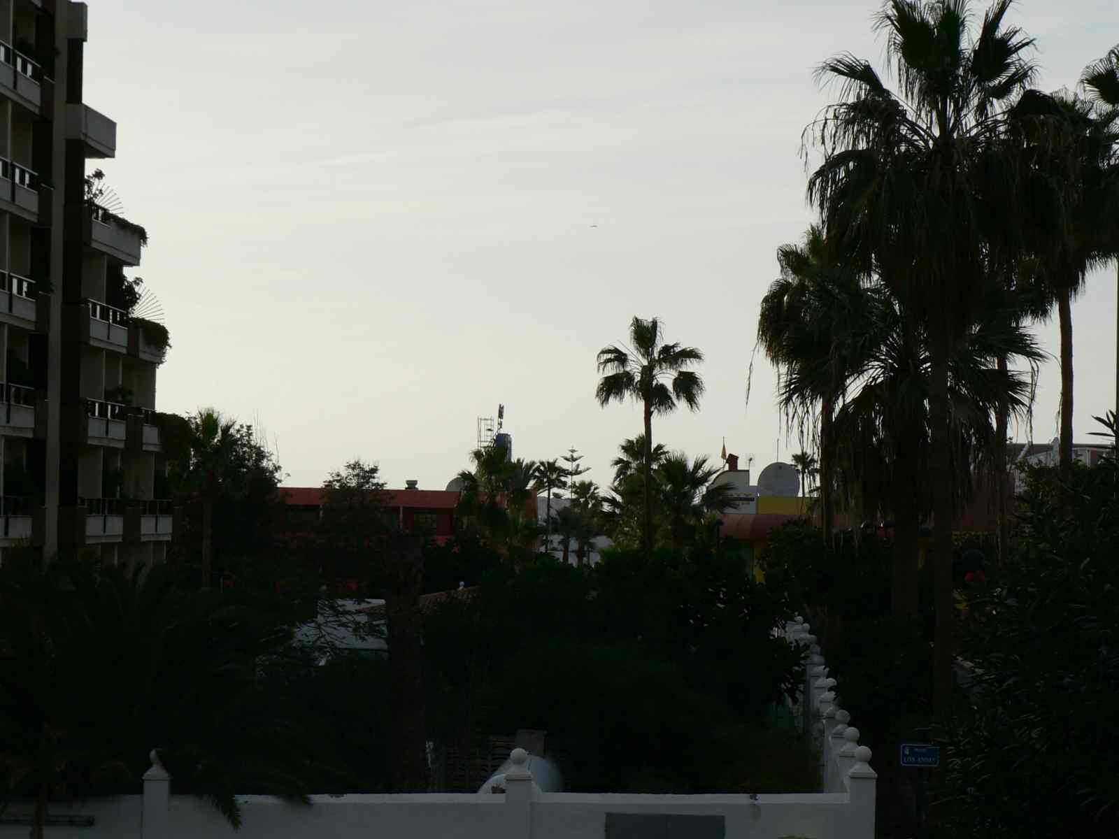 * Image 4
