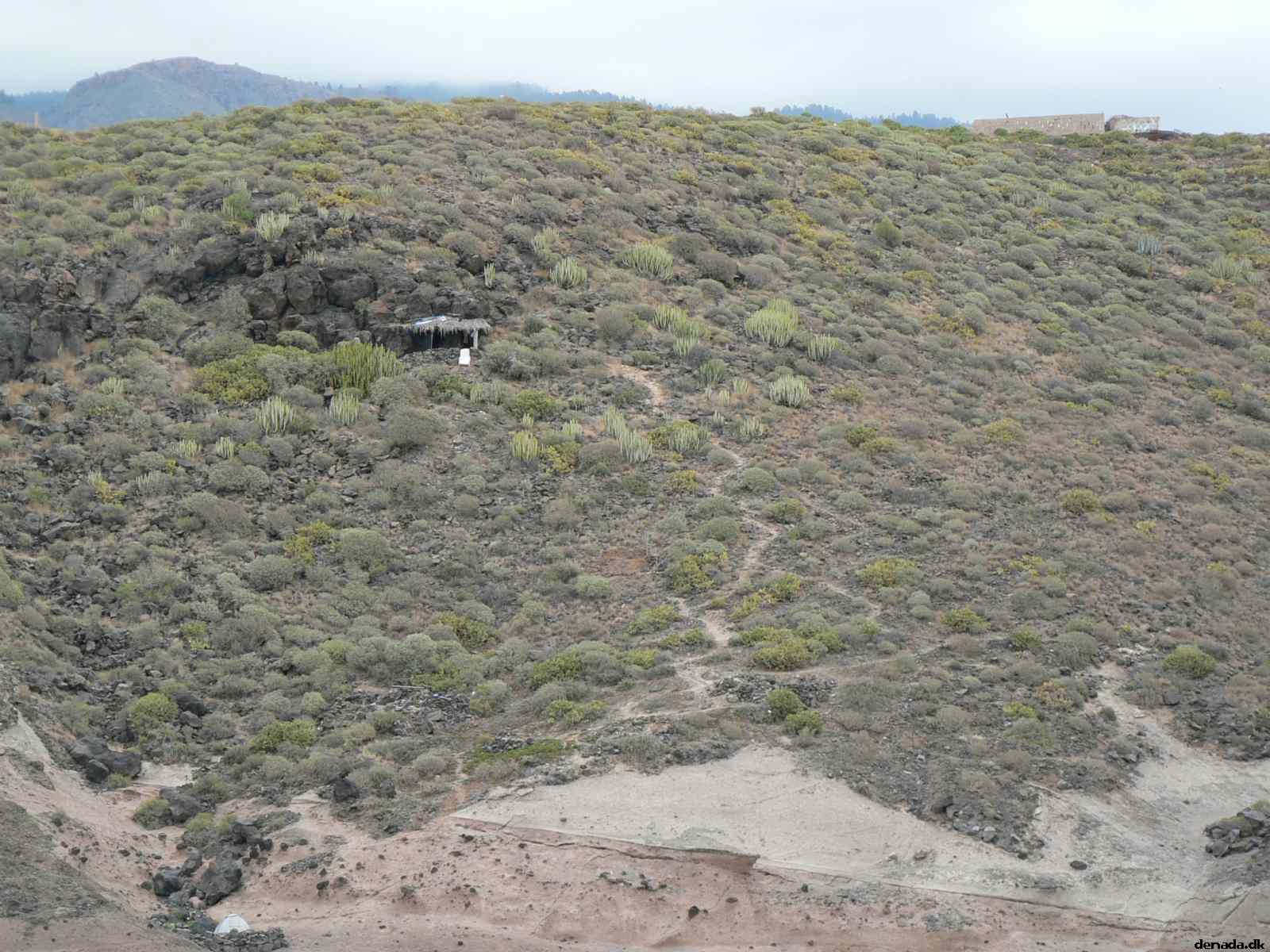 * Image 51
