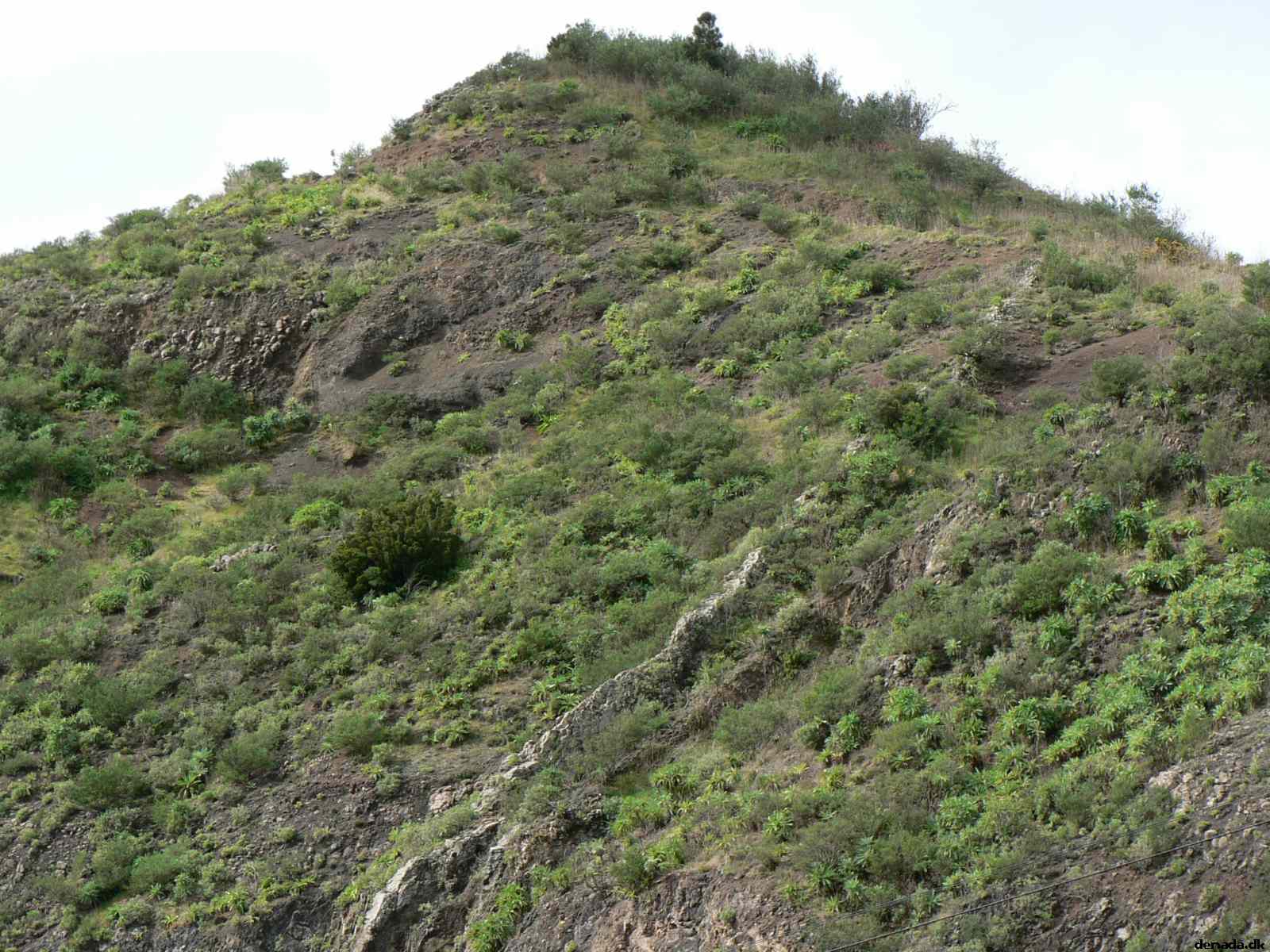 * Image 82