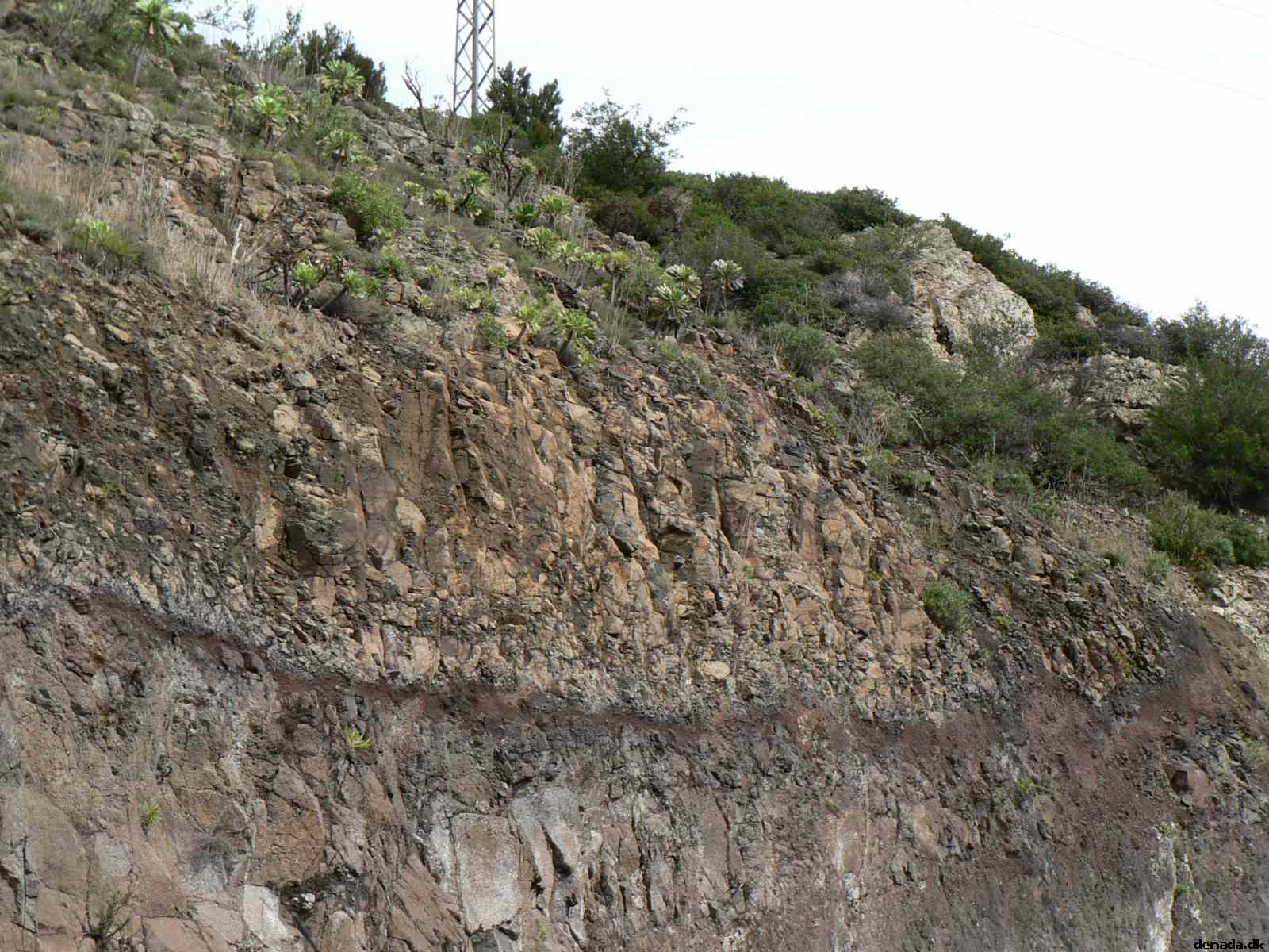 * Image 83