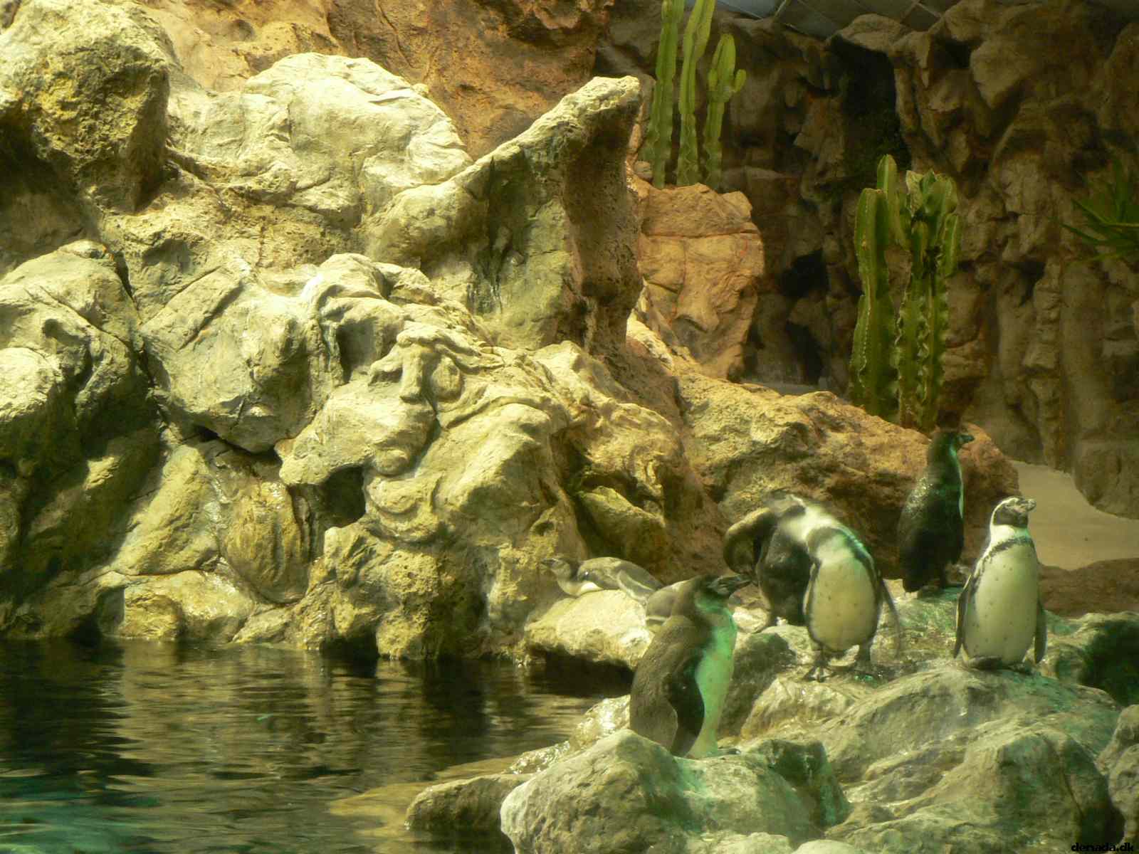* Image 106