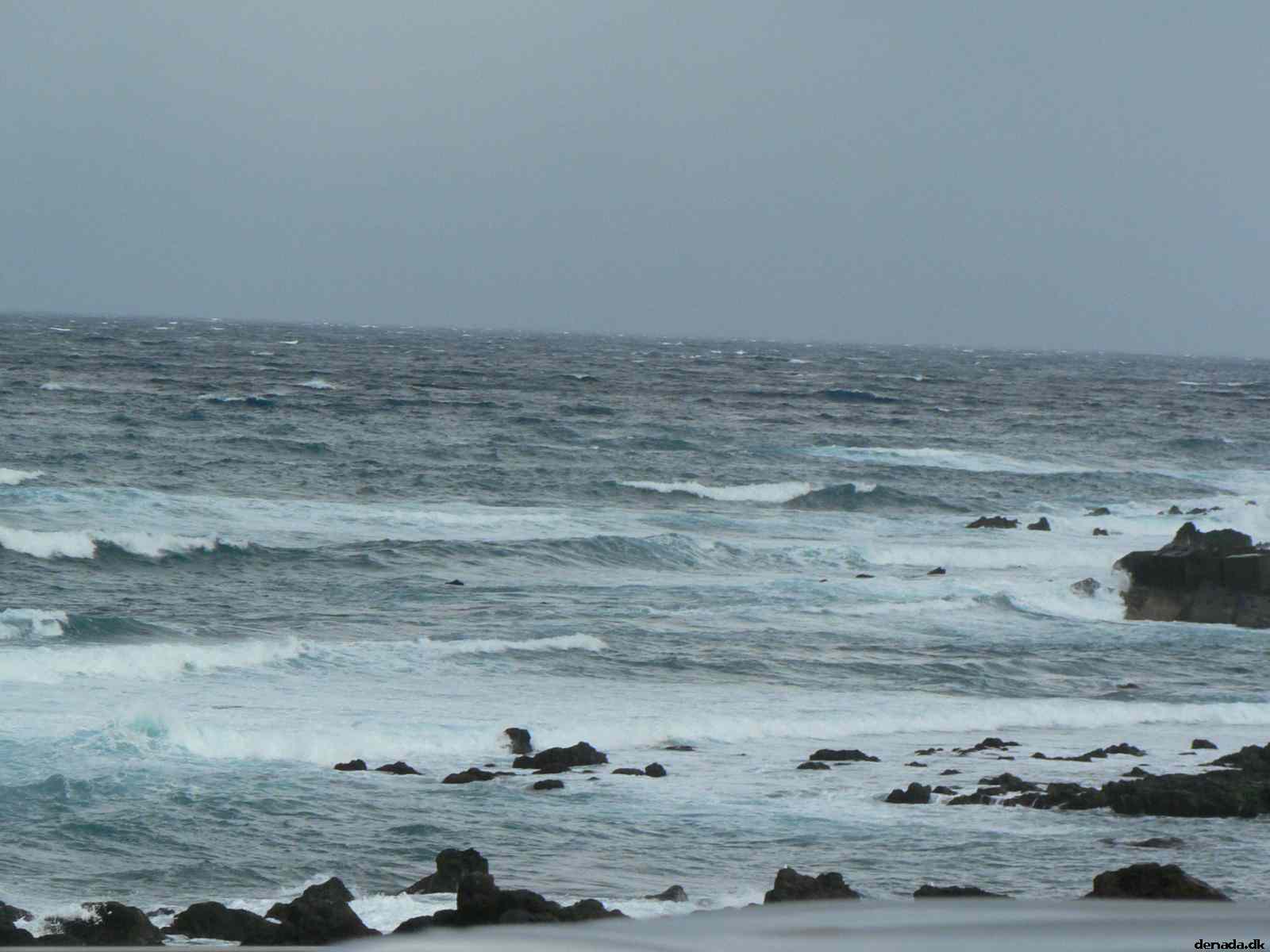 * Image 176