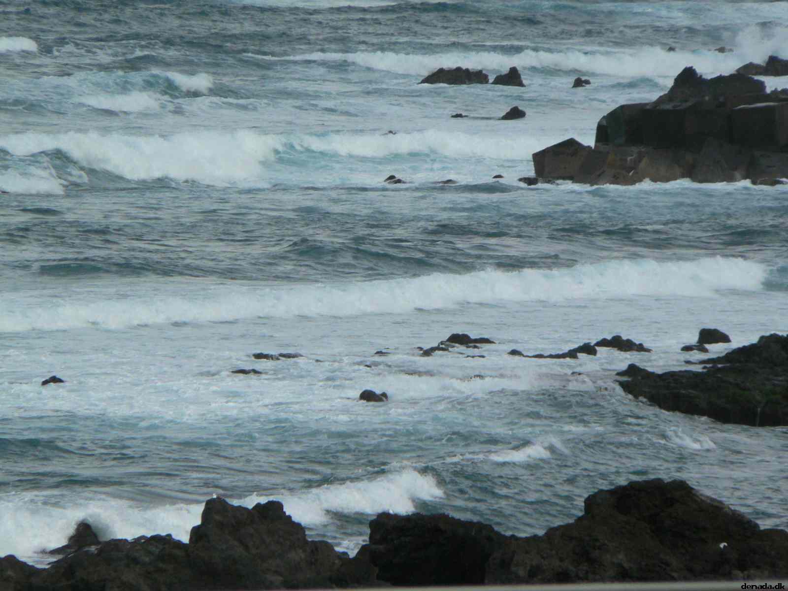 * Image 177