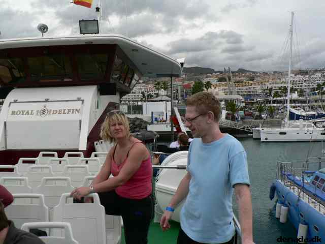 * Image 25