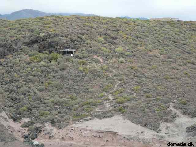 * Image 51