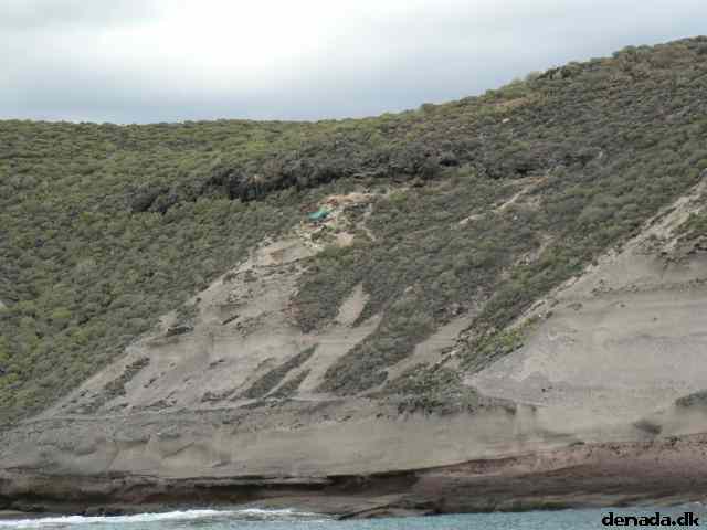 * Image 53