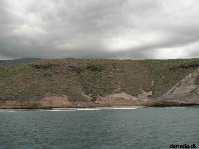 * Image 61