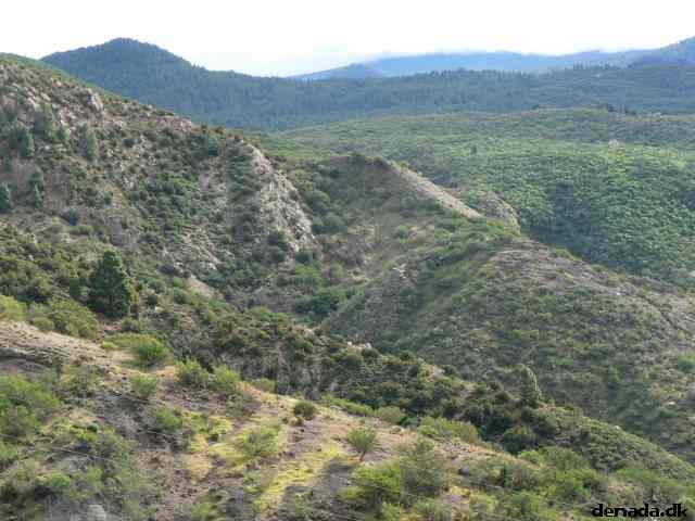 * Image 79