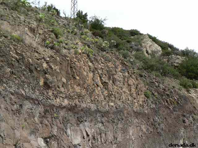 * Image 83