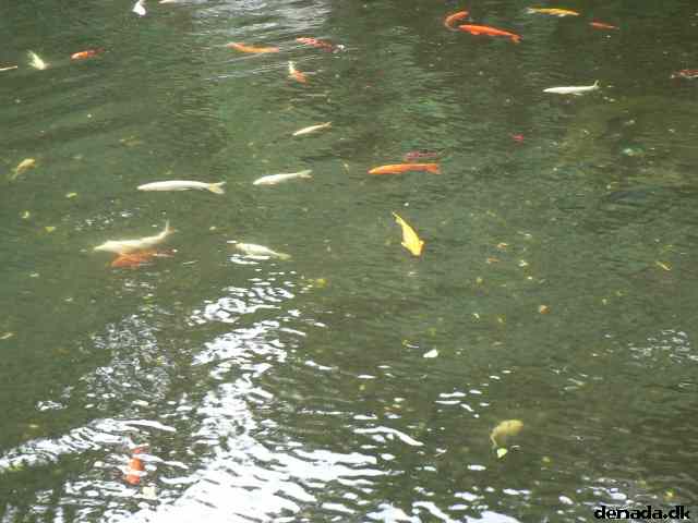 * Image 90