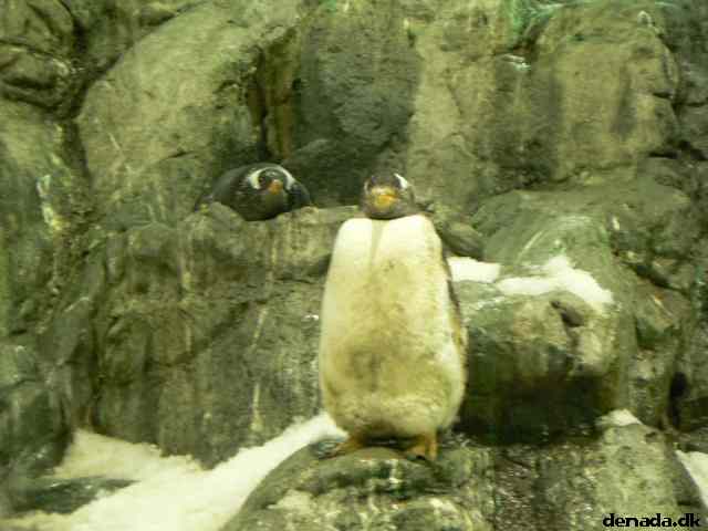 * Image 127