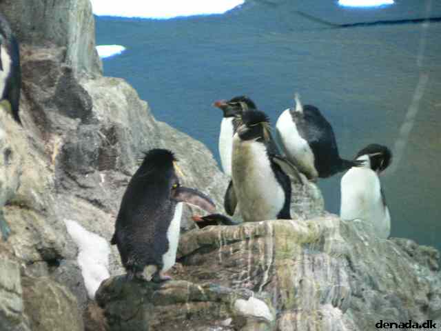 * Image 143