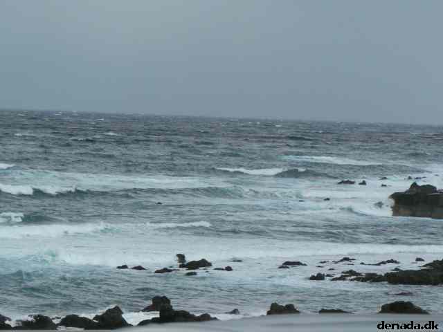 * Image 176