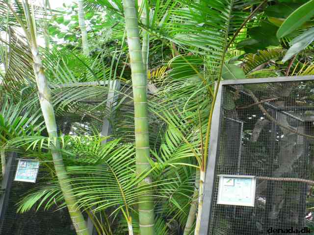 * Image 179