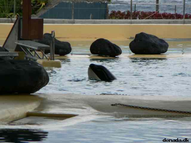 * Image 213