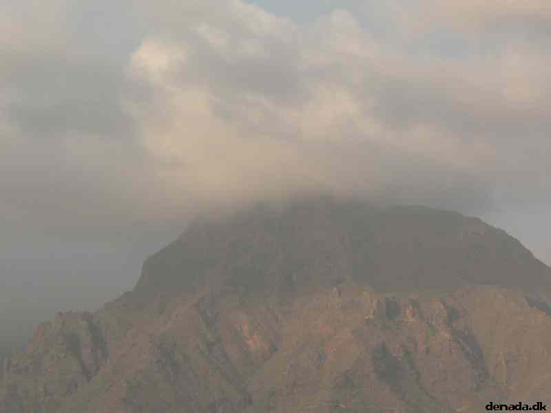 * Image 11