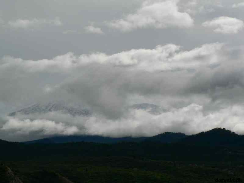 * Image 78