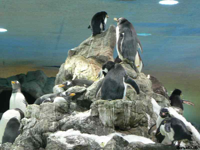 * Image 140