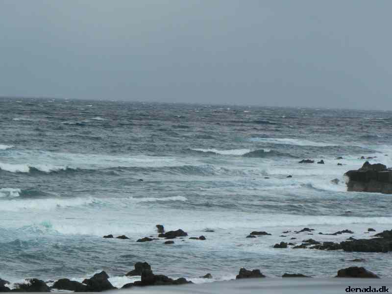 * Image 176