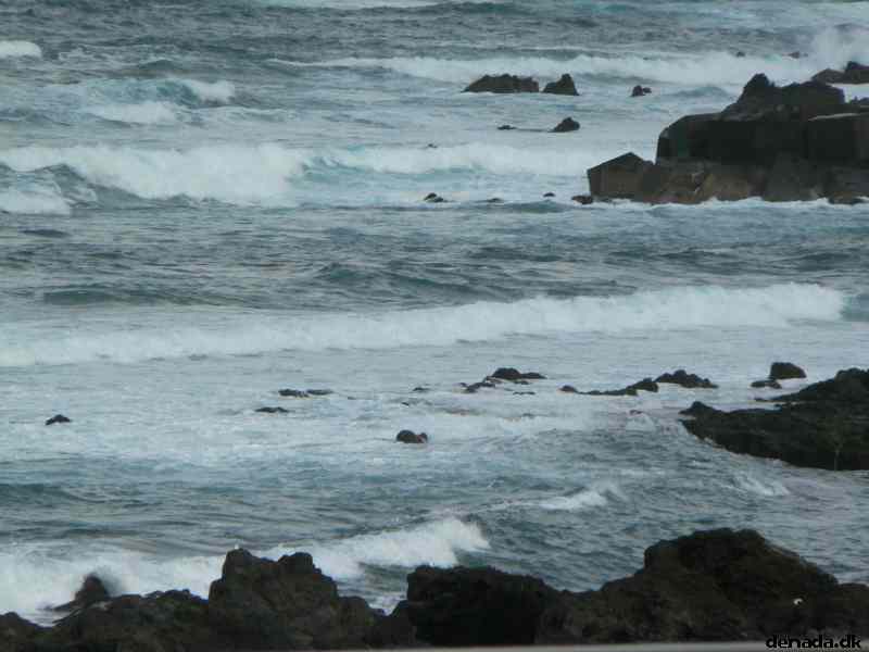 * Image 177