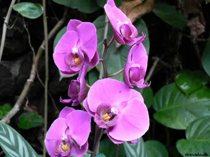 * Image 191