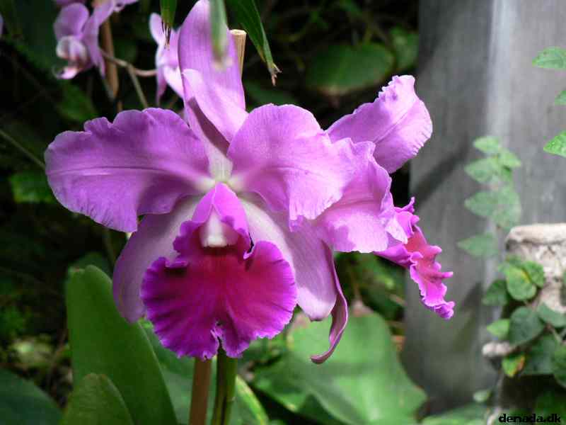 * Image 193