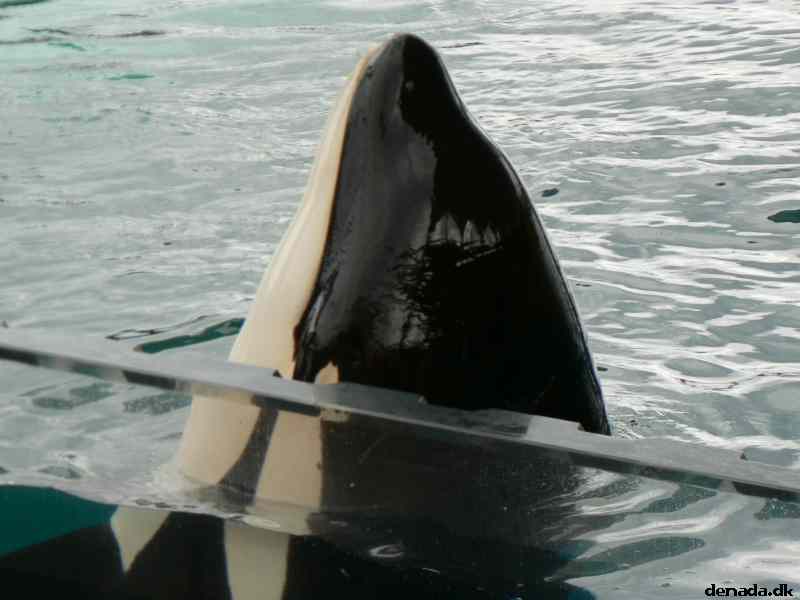 * Image 284