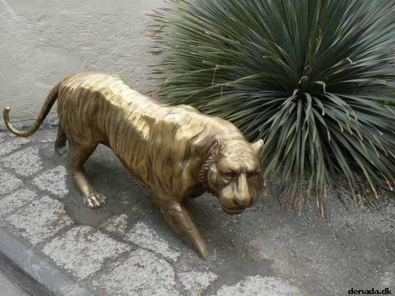 * Image 289