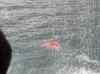 HPIM1696.JPG - 2007:01:26 16:08:28