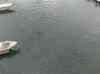 HPIM1794.JPG - 2007:01:27 14:37:53