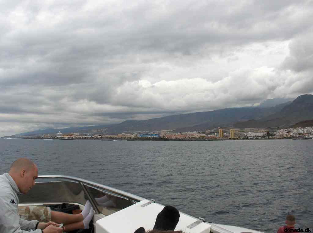 * Image 203