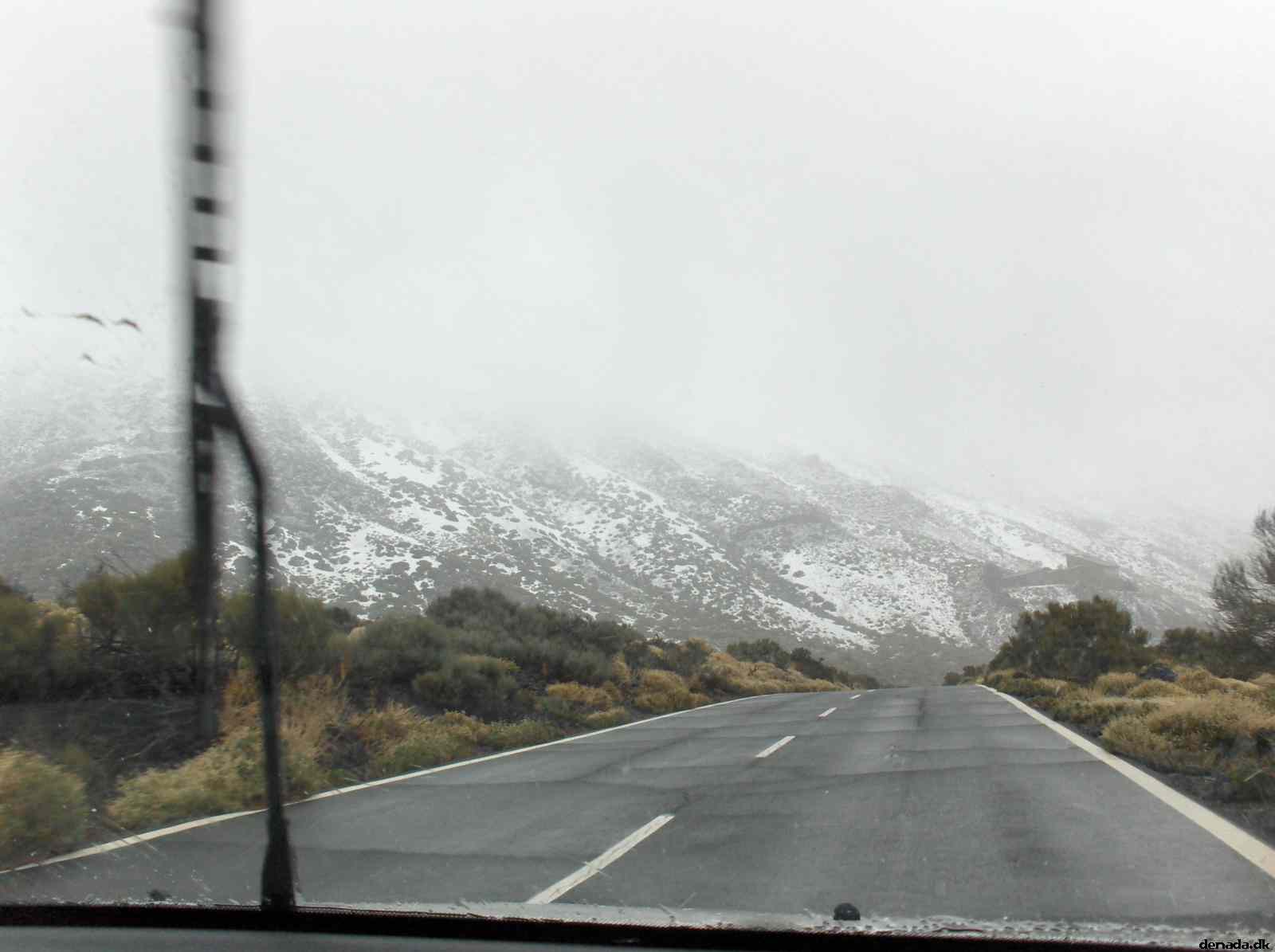 * Image 308