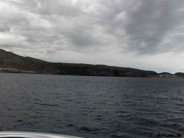 * Image 204