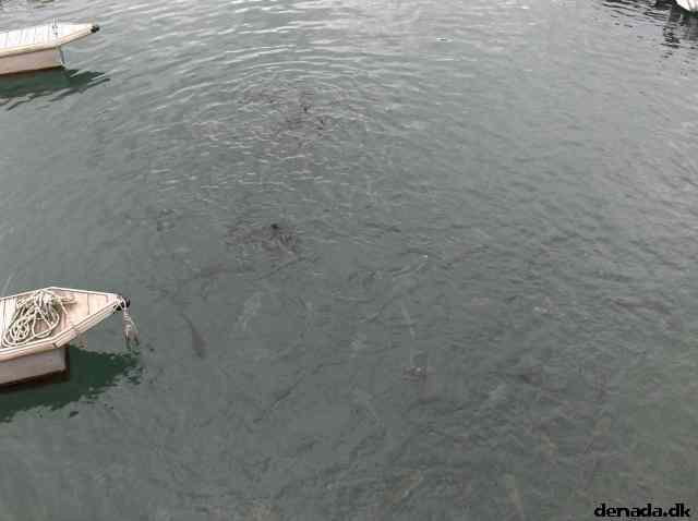 * Image 298