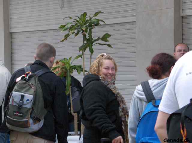 * Image 311