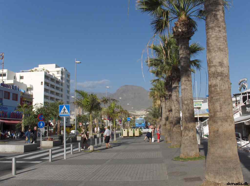 * Image 19