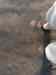 HPIM1478.JPG - 2007:01:21 17:14:01
