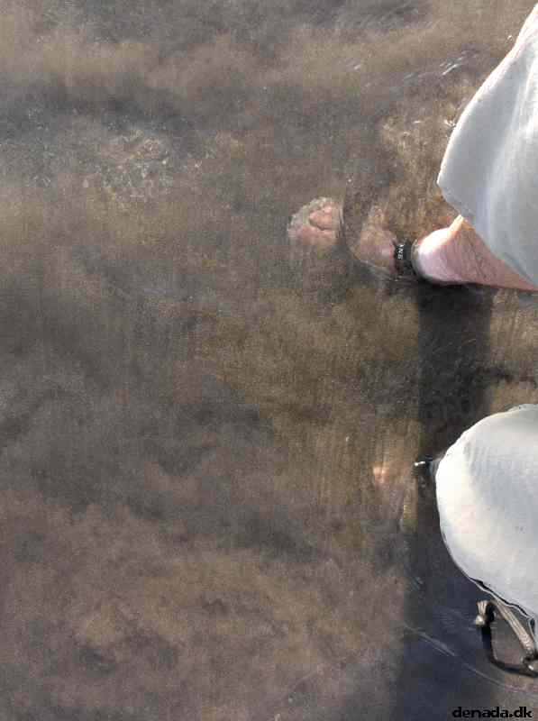 * Image 32