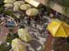 HPIM1518.JPG - 2007:01:22 12:50:16