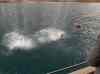 HPIM1694.JPG - 2007:01:26 16:04:50