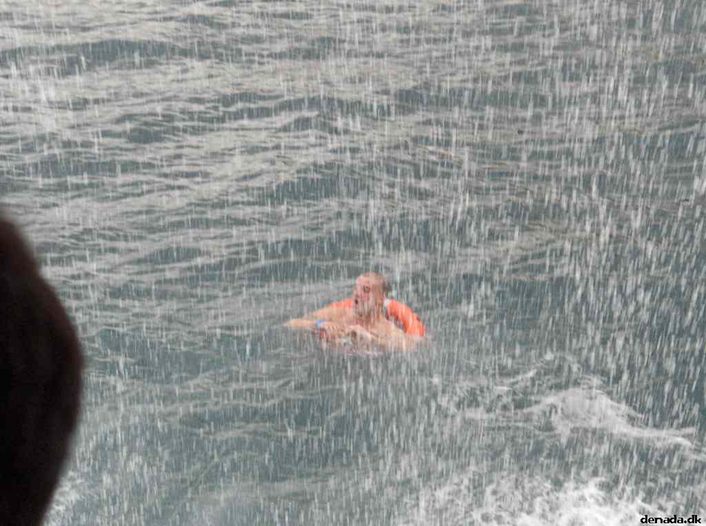 * Image 31