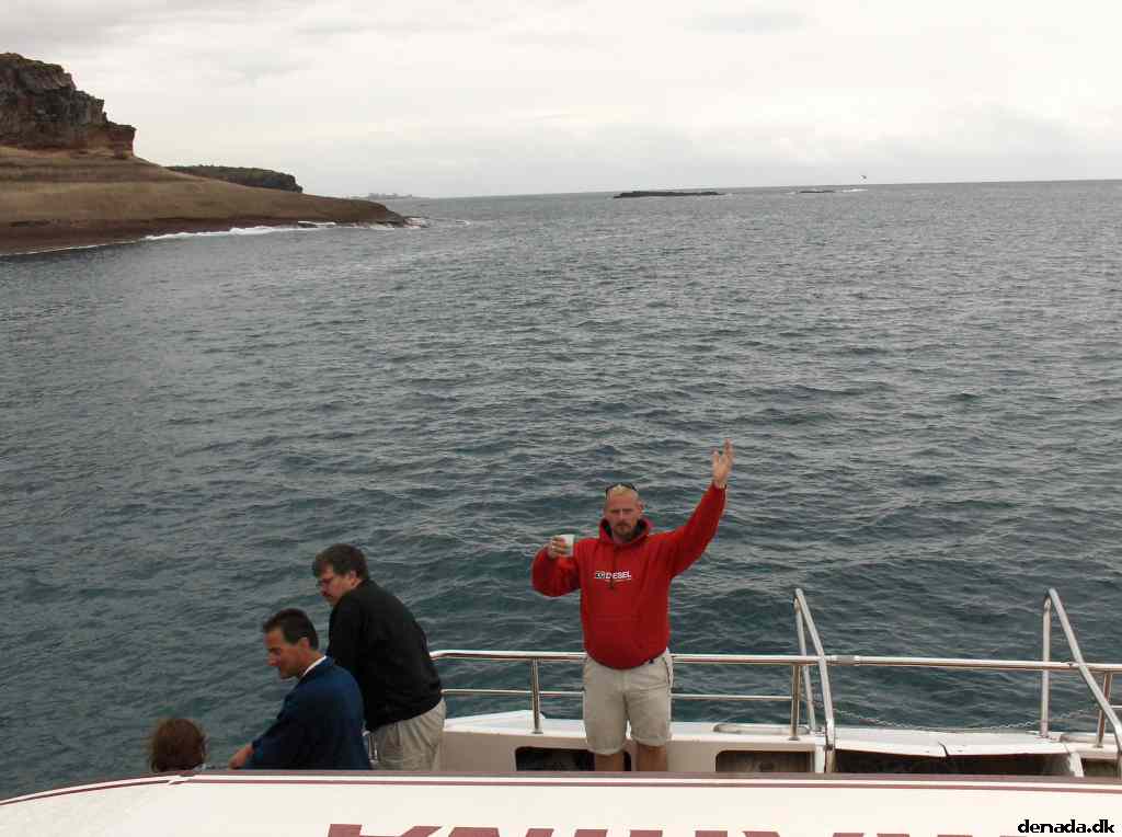 * Image 41
