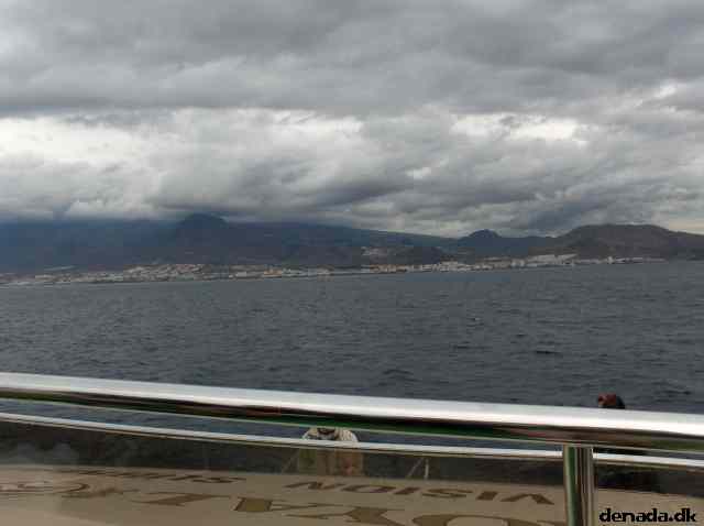 * Image 18
