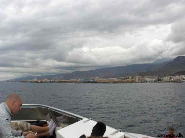 * Image 20