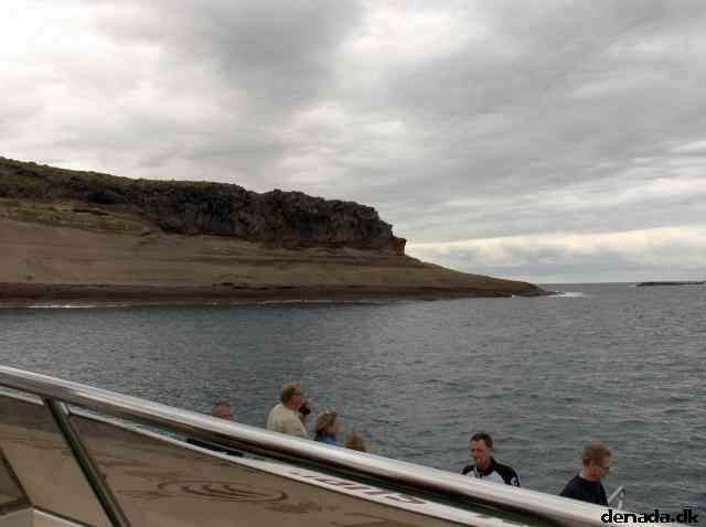 * Image 29