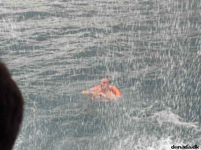 * Image 31