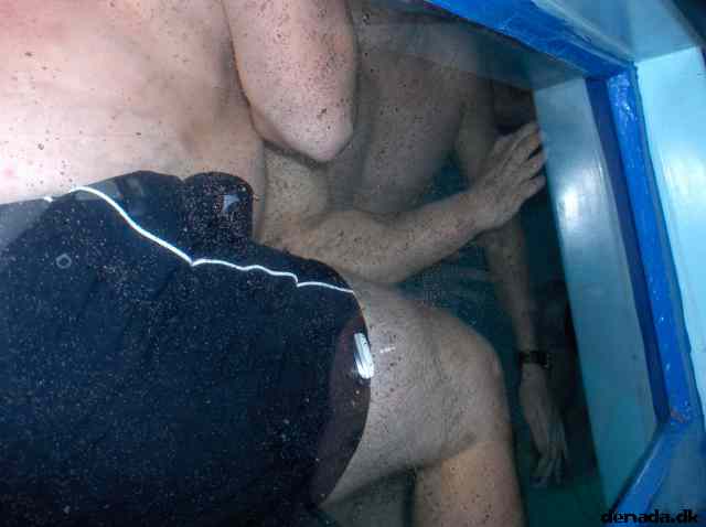 * Image 35