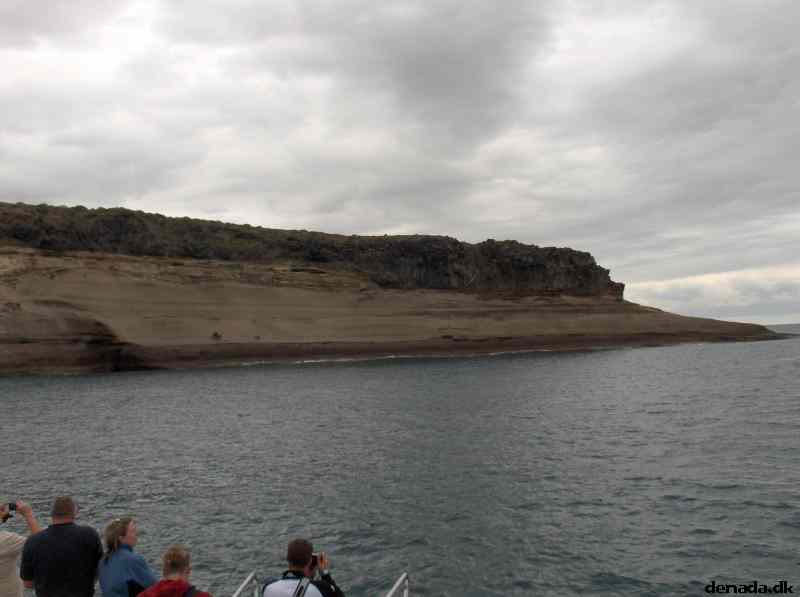 * Image 28