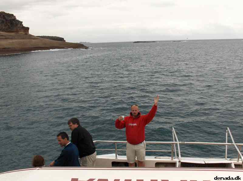 * Image 41